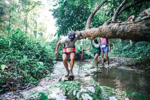 BIB: 
                            <button type="button" onclick="openModal(25432949)" class="btn btn-primary btn-sm float-right btn-popup" data-toggle="modal" data-target=".modal-high-quality">
                        <i class="fas fa-shopping-cart"></i> Add to Cart
                    </button>
                                            <button type="button" onclick="isThisMe(25432949, true)" class="btn btn-success btn-sm float-right btn-popup btn-isme hidden" data-toggle="tooltip" data-placement="bottom" title="นี่คือรูปของคุณใช่ไหม คลิกที่นี่เพื่อเอาเข้าอัลบั้ม">
                        <i class="fas fa-plus"></i> Add to album
                    </button>
                    <button type="button" onclick="isThisMe(25432949, false)" class="btn btn-warning btn-sm float-right btn-popup btn-isnotme hidden">
                        <i class="fas fa-ban"></i> Remove from album
                    </button>